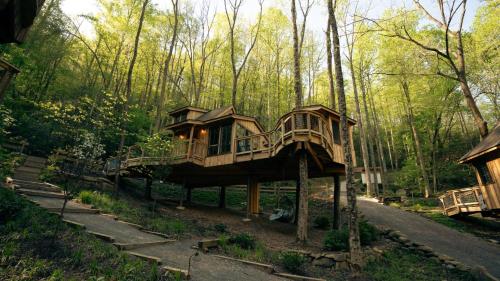 a tree house in the middle of the forest at The Elm in Treehouse Grove at Norton Creek in Gatlinburg
