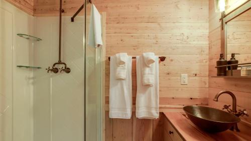 W łazience znajduje się umywalka i prysznic. w obiekcie The Dogwood in Treehouse Grove at Norton Creek w mieście Gatlinburg