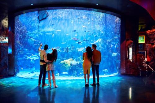 Tetamu yang menginap di Silverton Casino Lodge