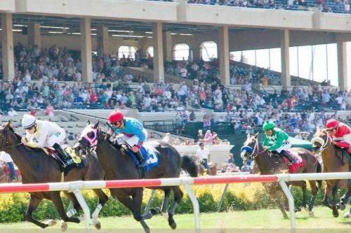 a group of horses racing in a horse race at Live the Beach Life in a Quaint Shell Cottage in Del Mar
