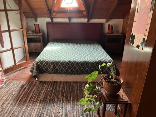 Un dormitorio con una cama y una planta en maceta. en Casa quinta La Panambí, en Campana