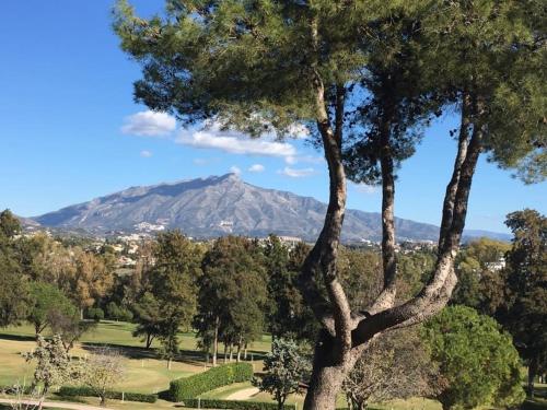 a tree with a mountain in the background at Habitación deluxe con baño privado en Atalaya Apartagolf, Estepona in Estepona