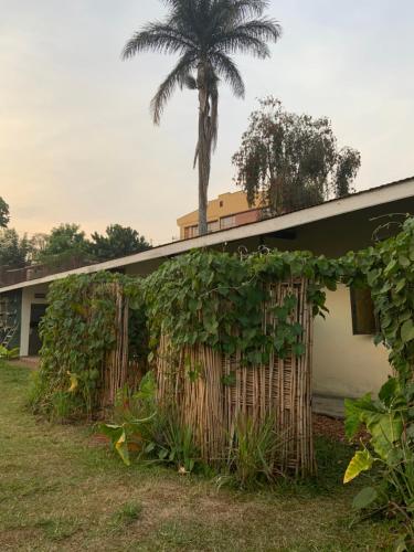 Gallery image of Gaia Eco Hub BnB in Fort Portal