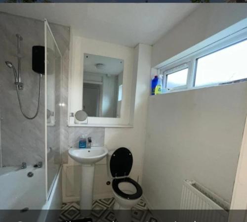 a bathroom with a toilet and a sink and a shower at Spacious one bedroom apartment in Nottingham