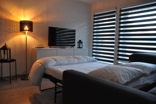 um quarto com uma cama grande e uma televisão em Le P'tit Padré em Jalhay