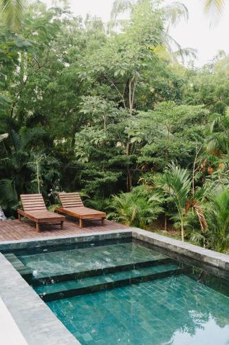 a swimming pool with two chairs and trees at Naio Hotel y Villas By OxoHotel in Palomino