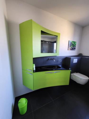 ein grünes Bad mit einem WC und einem Waschbecken in der Unterkunft Ferienwohnung in Elz bei Limburg an der Lahn in Elz