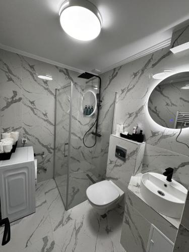 uma casa de banho com um WC, um lavatório e um chuveiro em Modern 1 bedroom apartament em Turnu Măgurele