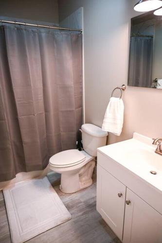 a bathroom with a toilet and a shower and a sink at The Borden Room in Biloxi