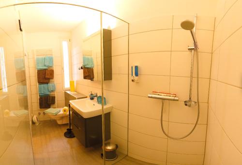 a bathroom with a shower and a sink at Apartment Haus Braumandl in Bad Ischl