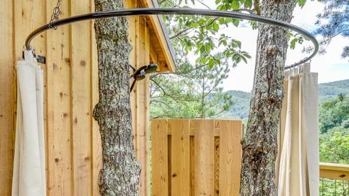 a bird is sitting on a light next to a tree at The Cottonwood in Treehouse Grove at Norton Creek in Gatlinburg