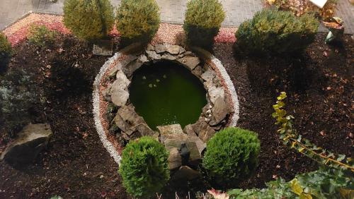 a small pond in a garden with trees and plants at Apartmán Gaidi in Zlín