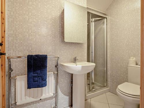 a bathroom with a sink and a toilet at 2 Bed in Llangorse 91085 in Llangorse