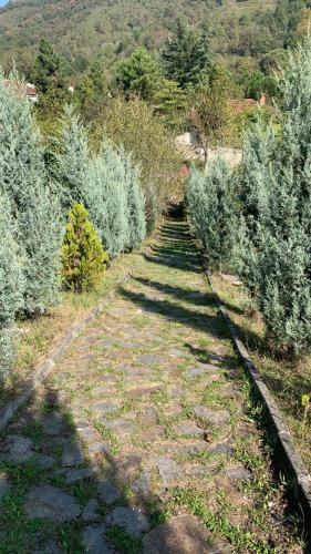 una fila de árboles y arbustos en una colina en Saklı Cennet Esadiye, en Esadiye