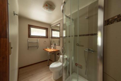 een badkamer met een toilet en een glazen douche bij Cabañas Sierra Nevada in Malalcahuello