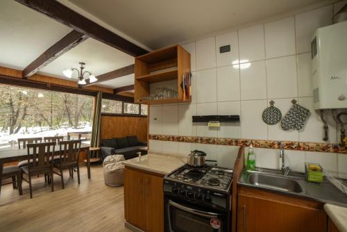 een keuken met een wastafel en een fornuis top oven bij Cabañas Sierra Nevada in Malalcahuello