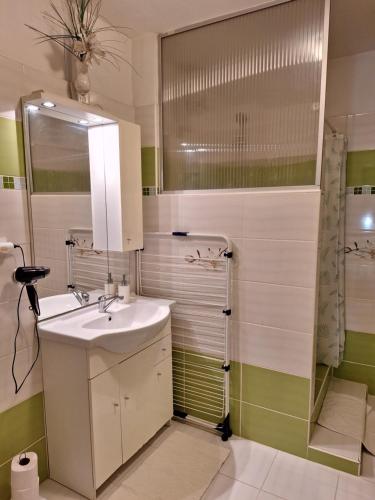 a bathroom with a sink and a shower at Vila Gabriel in Nová Lesná