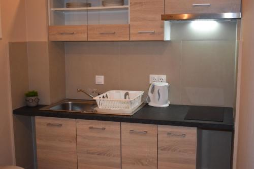 eine Küche mit einer Spüle und einer Arbeitsplatte in der Unterkunft Korina's Apartments in Ýpsos