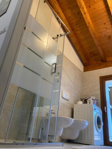 a glass shower in a bathroom with a sink at Oasi Verde in Palazzago