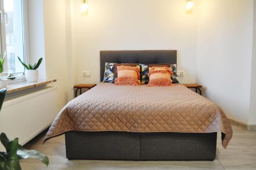 Katil atau katil-katil dalam bilik di Apartament Aleksandra