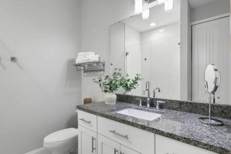 een badkamer met een wastafel, een toilet en een spiegel bij NEW! Canopy Cove, Luxury Downtown Apartment Near Main St in Safety Harbor