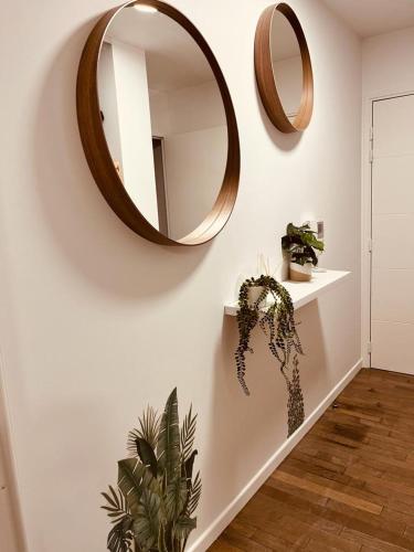 un espejo en una pared con una planta en un estante en charmant, en Noisy-le-Sec