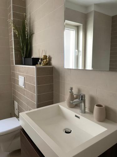 uma casa de banho com um lavatório branco e um espelho. em EliteVista by Cristian em Timisoara