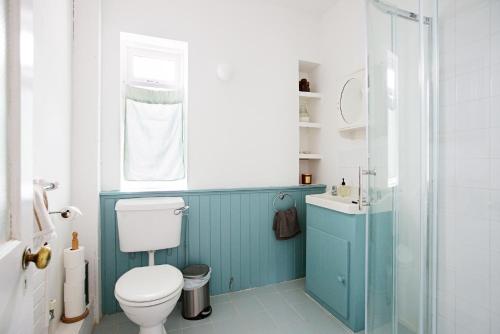 a bathroom with a toilet and a sink at Clara Vale Farm House Retreat in Rathdrum