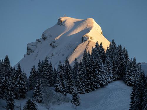 別荘から撮影された、または一般的な山の景色