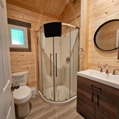 a bathroom with a shower and a toilet and a sink at Parkway Cottage Resort and Trading Post in Dwight