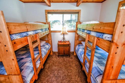 1 Schlafzimmer mit 3 Etagenbetten in einer Hütte in der Unterkunft Hugging Trees in Arnold