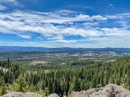a view from the top of a mountain with trees at The Mellow Moose in Dorrington