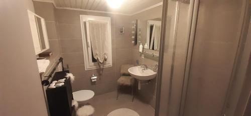 a bathroom with a sink and a toilet at Haus Nevita in Saas-Grund
