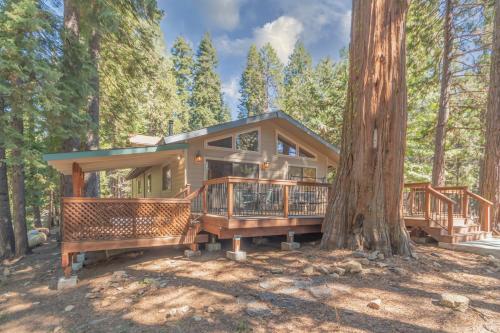 a house in the woods with a tree at Peaceful Pinecone in Dorrington