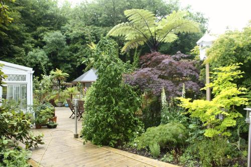 a garden with many different types of plants at The Waterwheel in St Austell