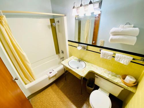 a bathroom with a toilet and a sink and a shower at Hillcrest Motel in Norton