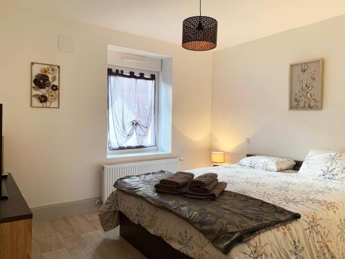 um quarto com uma cama com duas toalhas em Appartement en duplex spa privatif illimité, animaux admis em Le Val-dʼAjol