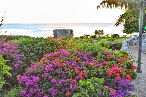 a garden with pink and purple flowers next to the ocean at Tanna Evergreen Resort & Tours in Tanna Island
