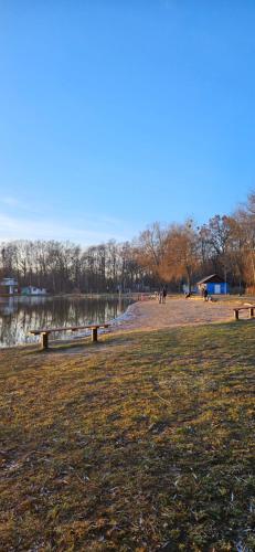 a park with benches and a body of water at Haus am Nymphensee1 in Brieselang