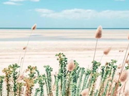 a painting of a field of flowers in front of a beach at Ahoy Point Turton in Point Turton