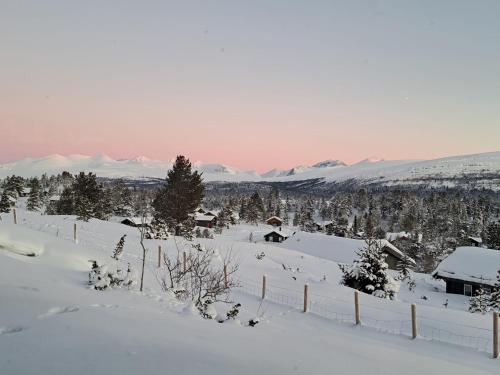 Gallery image of Rondablikk Fjellstasjon in Kvam
