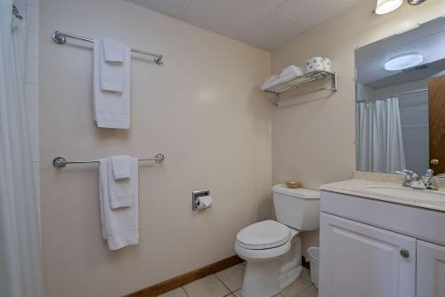 舊奧查德比奇的住宿－Kebek 3 Motel，一间带卫生间、水槽和镜子的浴室