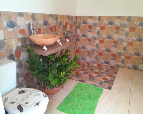 a bathroom with a sink and a toilet and a plant at Maupiti Dreams in Te-Fare-Arii