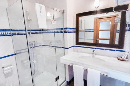 a bathroom with a shower and a sink and a mirror at Casa Palacio Pilar del Toro in Granada