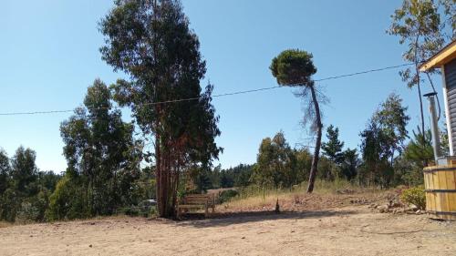 a dirt road with two trees and a house at Cabaña Familiar La Polcura in Navidad