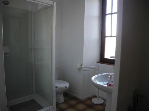 ein Bad mit einer Dusche, einem WC und einem Waschbecken in der Unterkunft Gîte Livet, 4 pièces, 7 personnes - FR-1-600-56 