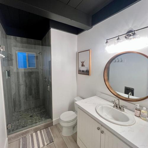 a bathroom with a shower and a toilet and a sink at Lake Arrowhead Lux Black Cabin in Lake Arrowhead