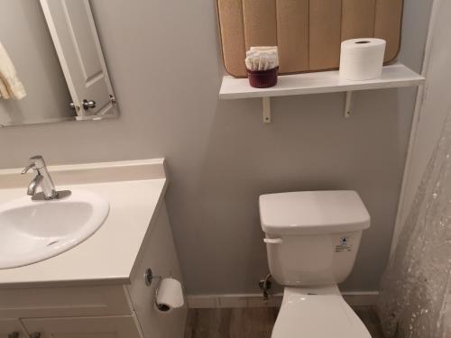a bathroom with a white toilet and a sink at Coquihalla Motel in Hope