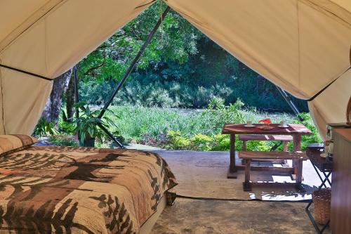 - un lit et une table dans une tente dans l'établissement LUXURY ECO, à Boquete