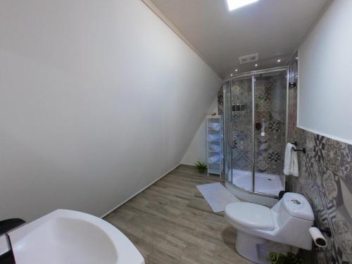La salle de bains est pourvue d'une douche et de toilettes. dans l'établissement Cabaña puente Wilson, à Alto Boquete